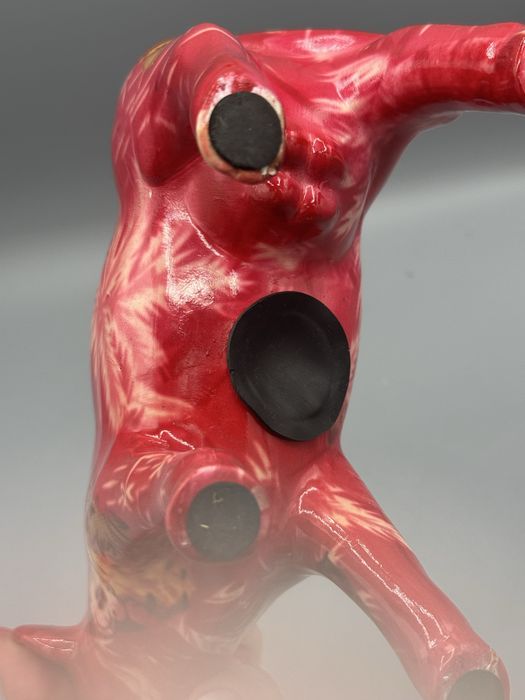 Skarbonka krowa czerwona