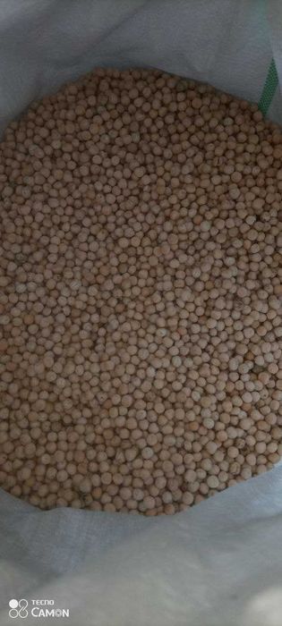 Продам горох 2025 року врожаю