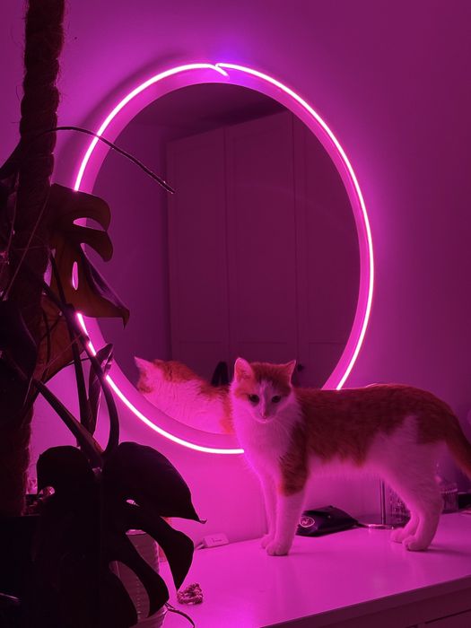 Lustro podświetlane z różowym ledem