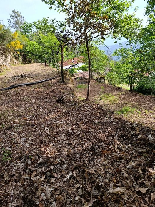 Palheiro em pedra com terreno