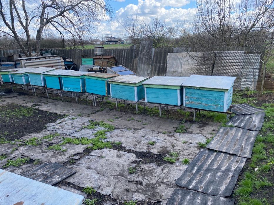 Продам вуліки 13