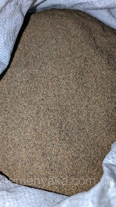 Насіння люцерни Monsanto "Roundup Ready" магнічене, 2025 року.