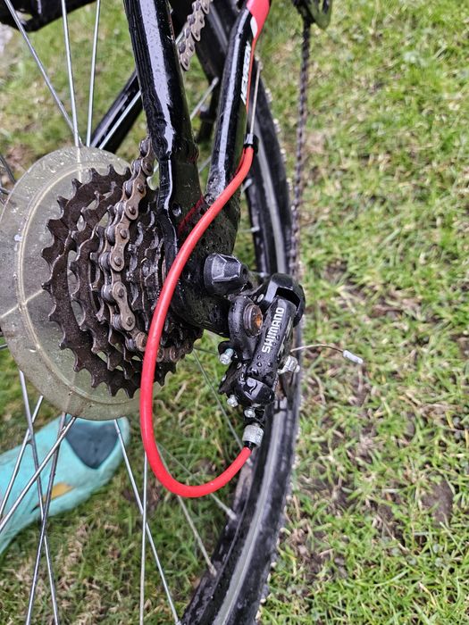 Rower kross hexagon  24"