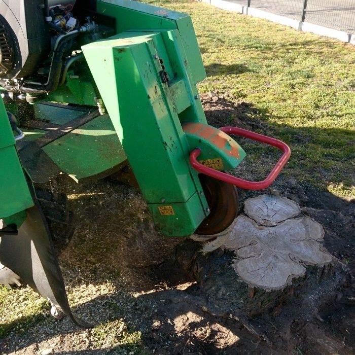 Frezowanie Pni i Usuwanie Korzeni Stargard i Okolice - Szybko