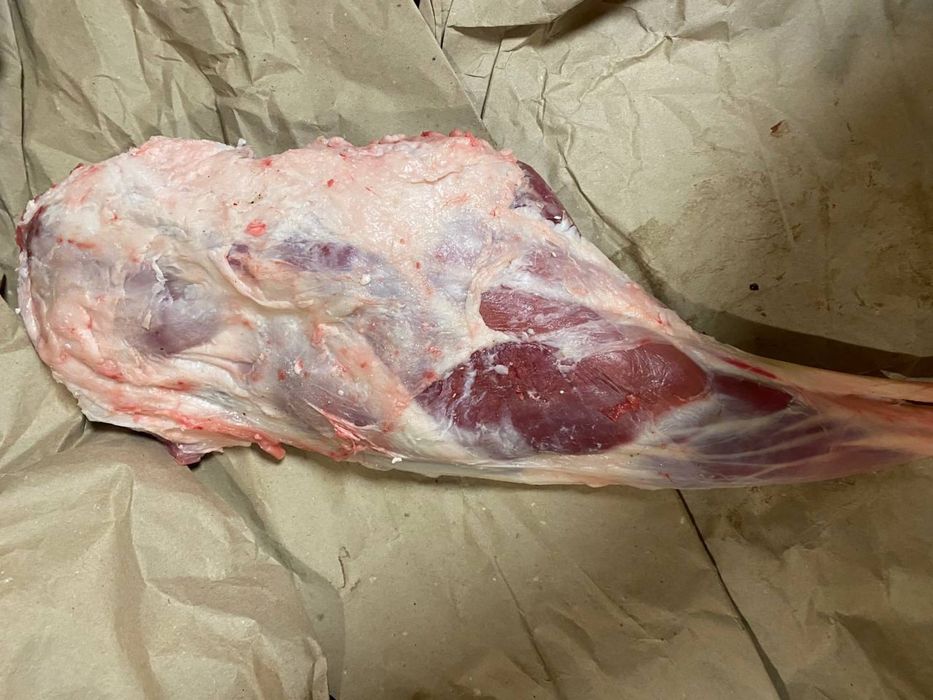 Продам ягнятину вік 5-11 місяців