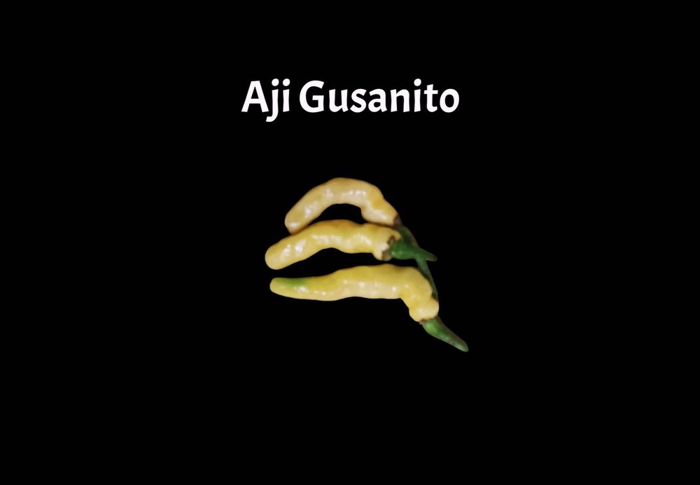 Vendo sementes de malaguetas/ pimentas raras de muitas variedades