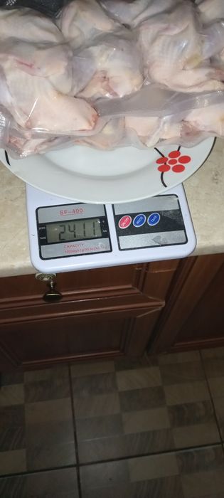 Перепілки білий Техас, фараон, фенікс золотистий