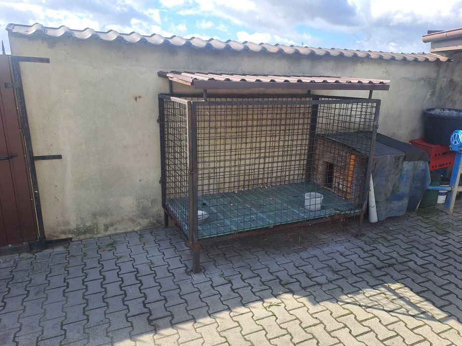 Kojec klatka dla psa