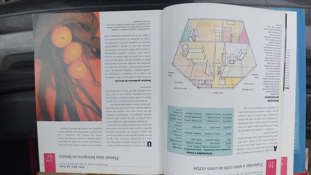 Guia Prático de Feng Shui de Lillian Too