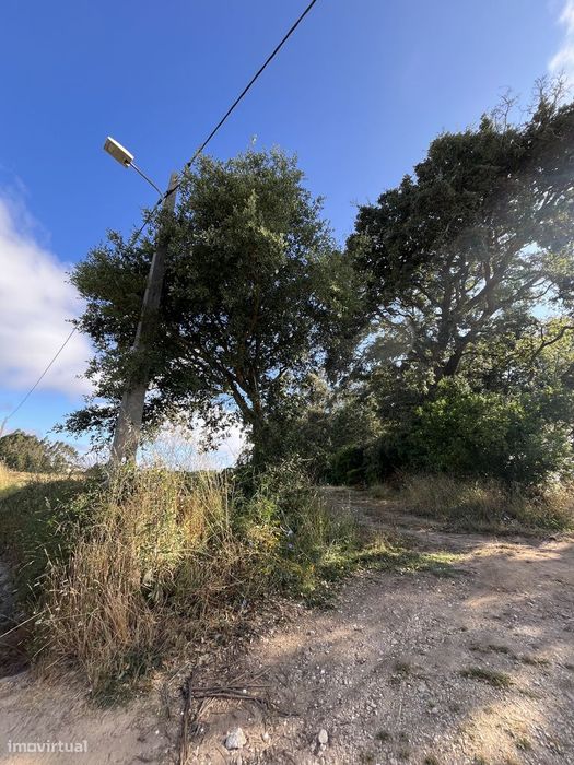 Rustic Land for Sale in Bárrio, Alcobaça