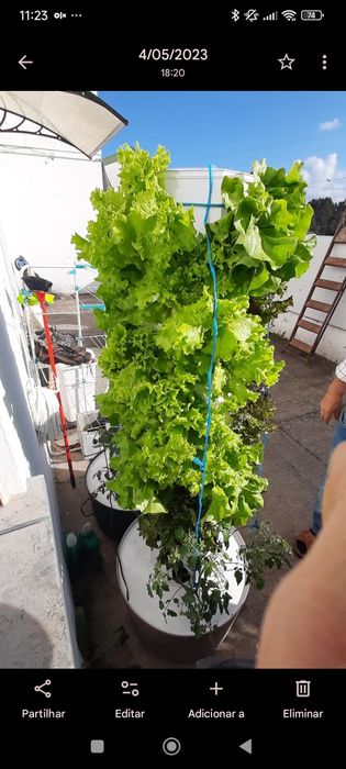 Vendo sistemas de aeroponia