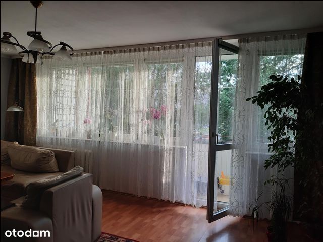 Mieszkanie, Sosnowiec