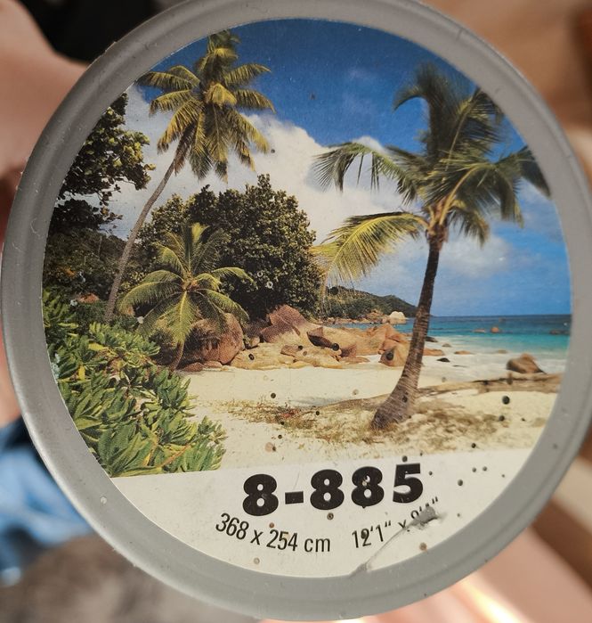 Fototapeta Komar 8-885 palmy 368x254