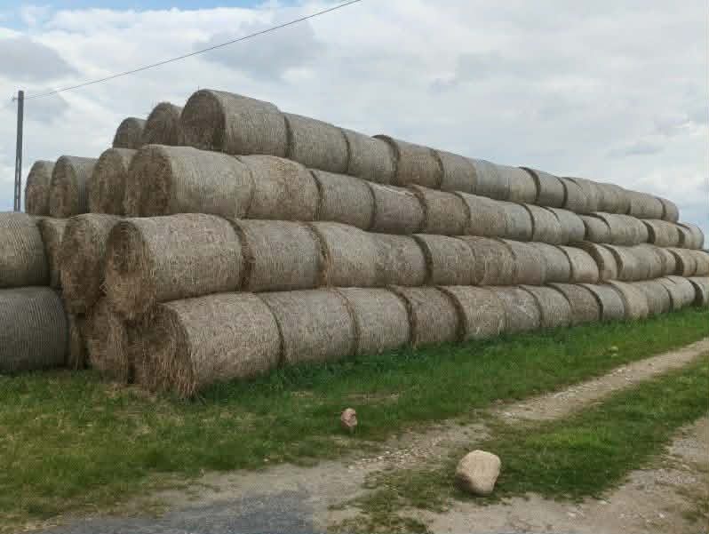 Słoma w belach 125x120 z transportem