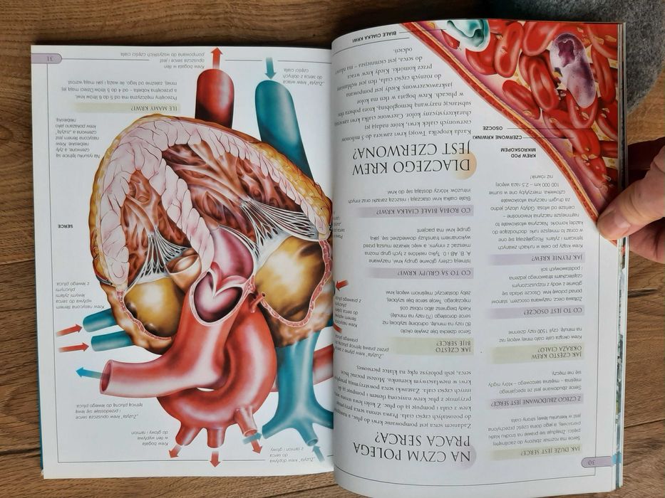 NASZ ŚWIAT Encyklopedia pytań i odpowiedzi