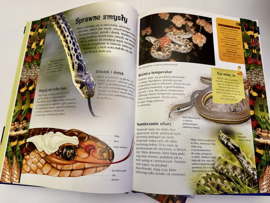 Książki o zwierzętach Albumy edukacyjne