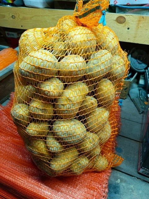 Ziemniaki Lily, Bellarosa-worki 15kg