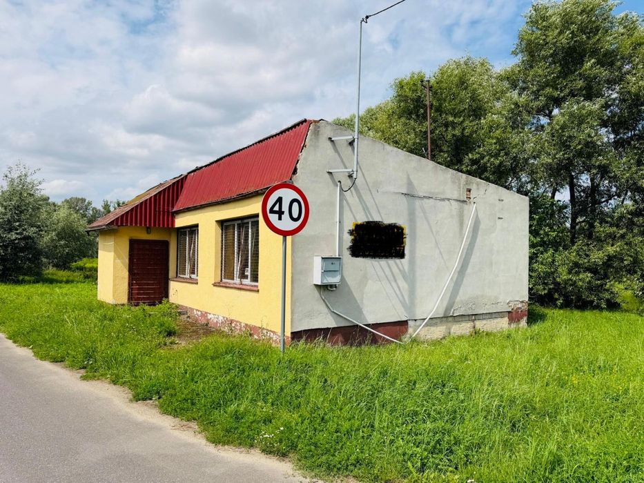 Zdjęcie 7
