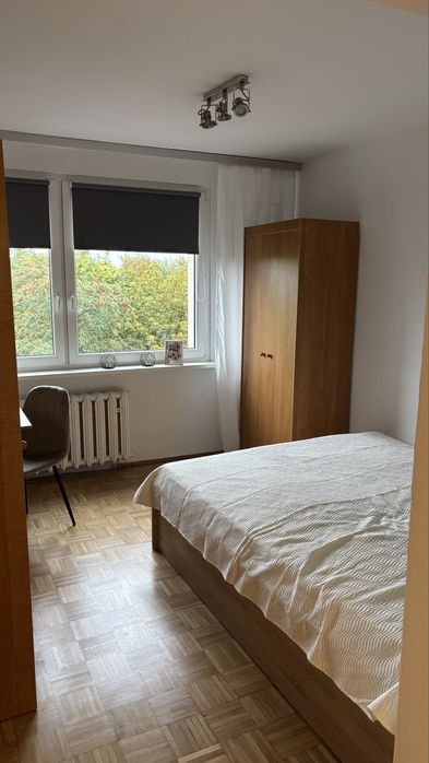 Zdjęcie 5