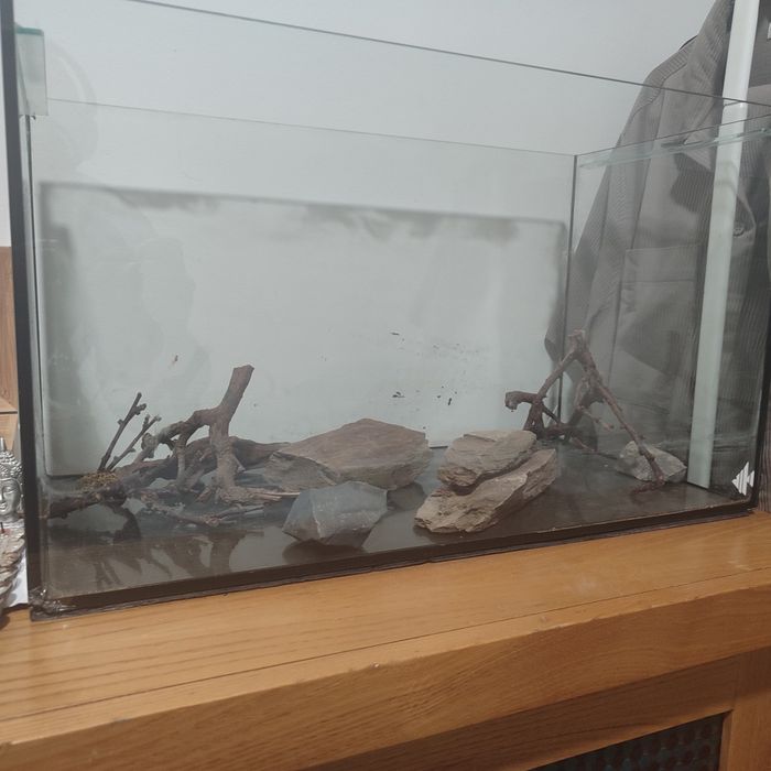 Vendo aquário com pedras e galhos para efeito