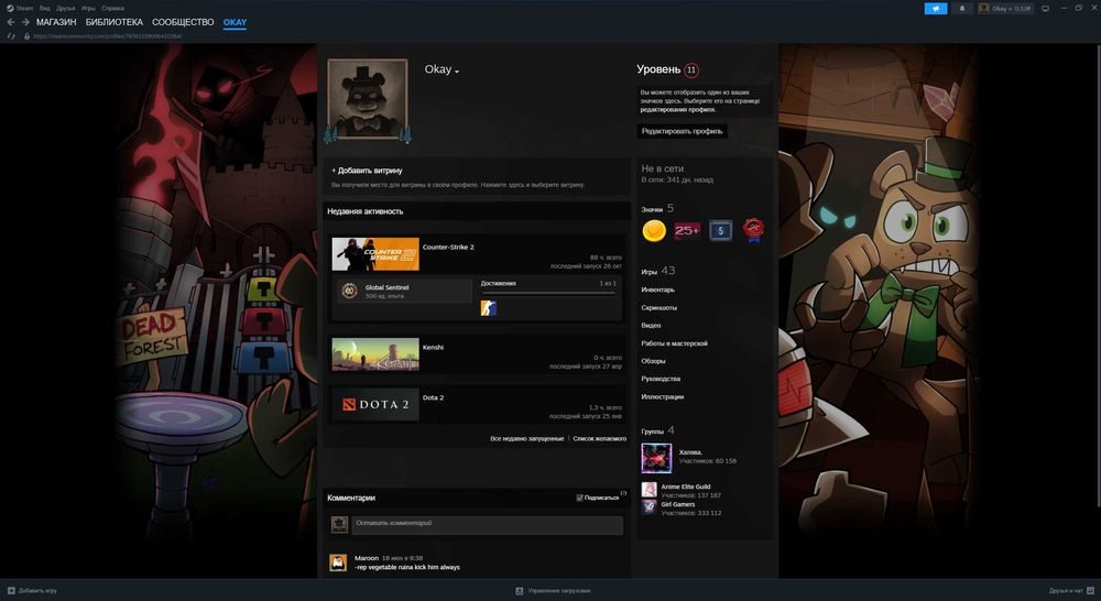 steam-аккаунт | CS-2 Prime, Kenshi (40 платних ігор) 5 років