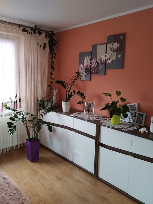 Domek jednorodzinny 87 m²