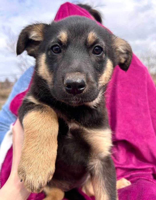 Луна - Самая Лучшая Девочка на Свете, 3 мес