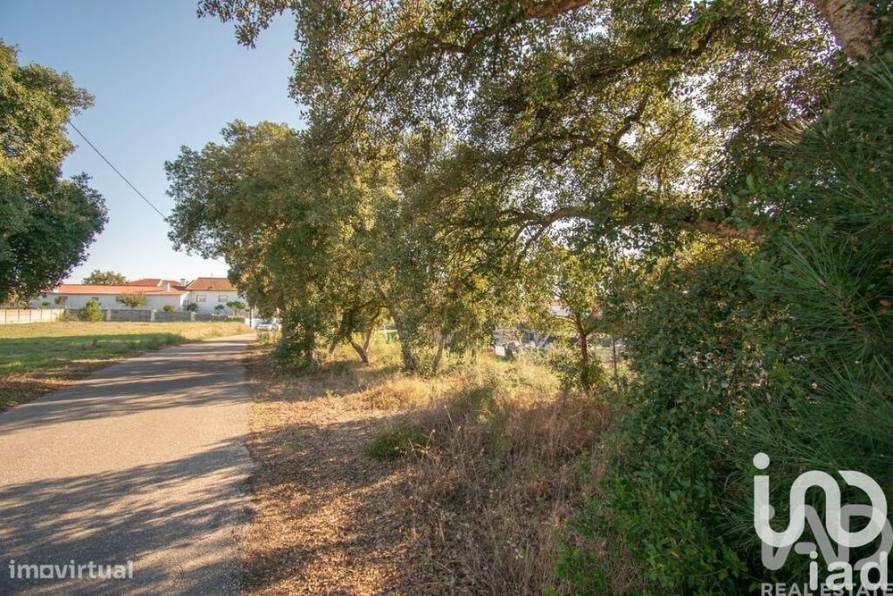Terreno Agrícola em Amor