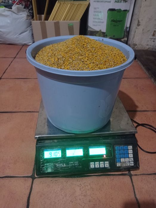 Пилок квітковий (Обніжя бджолине)