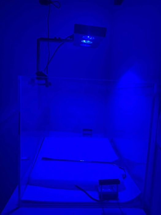 Luminária LED ICA Coral LED LED120 – Aquário Marinho