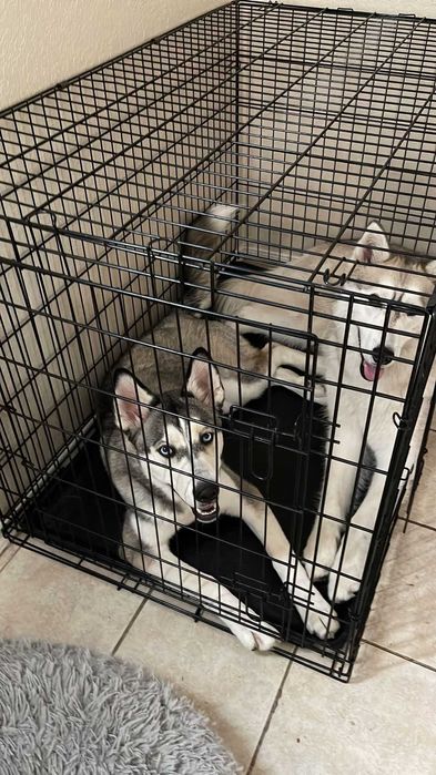 Клітка для собак Польша, клетка переноска вольер для собак XXL-X/S