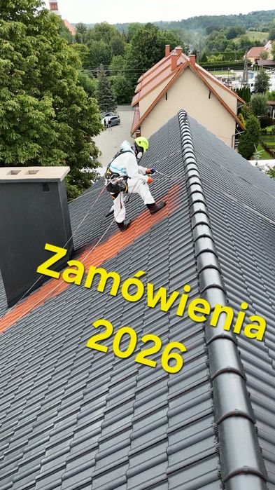 Malowanie dachów