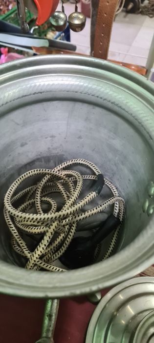 Самовар электро СССР 1977