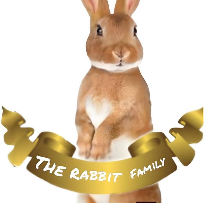 Uber+ Hostel Rabbit ( estadia e transporte para coelhos de estimação)