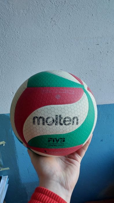 Професійний волейбольный мяч  molten