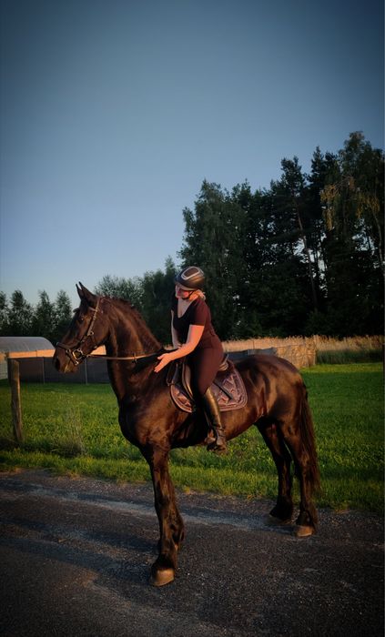Wałach do rekreacji i terenów