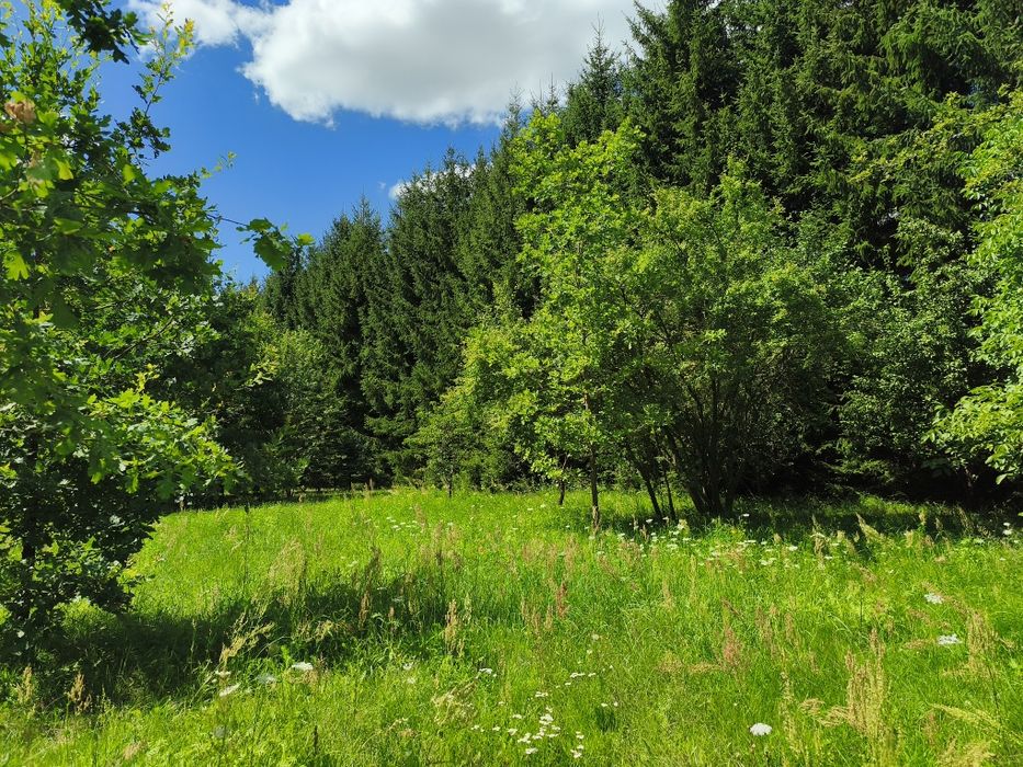 Działka do rekreacji, z dostępem do rzeki - Widok 2