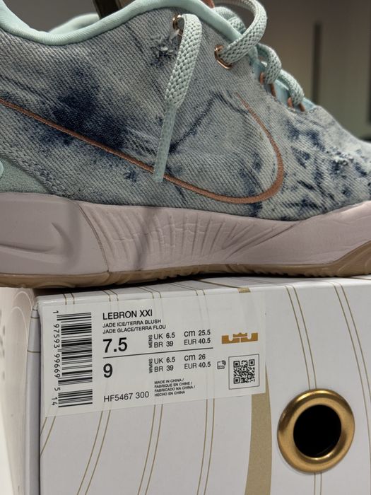 Nike LeBron XXI 'Aragonite' Basketball Shoe - Jade Ice Terra Blush