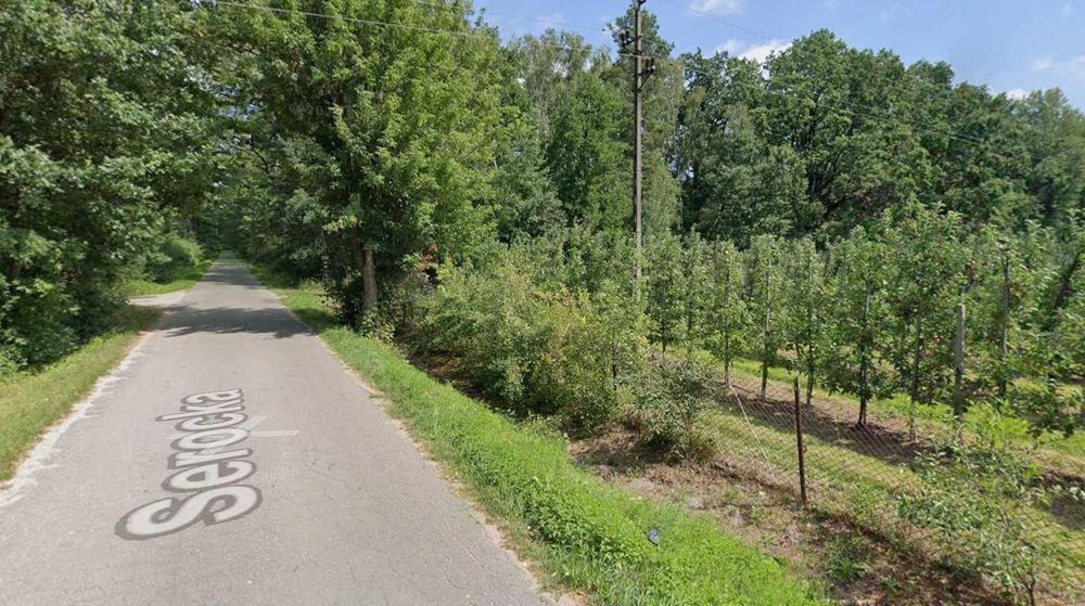 Działka budowlana pod lasem