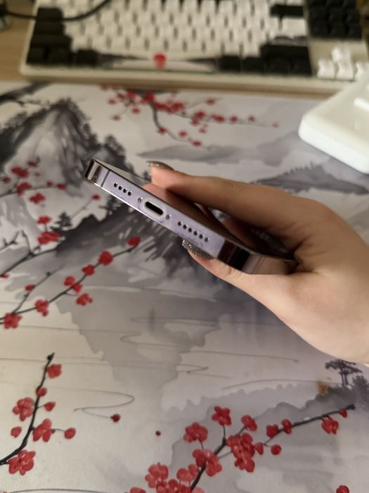 iPhone 14 Pro Max 256 GB