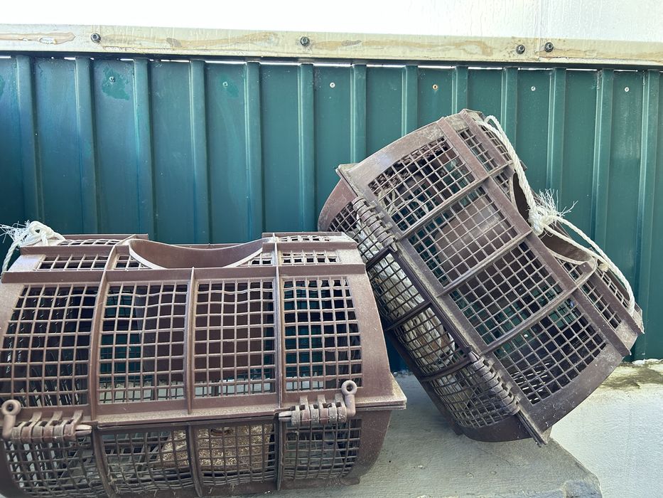 Armadilhas para caranguejos
