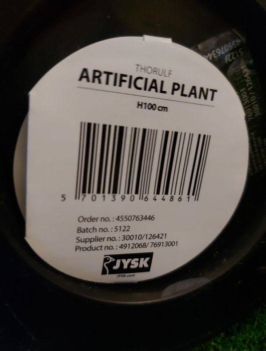 Трава пампасна очерет 100 см