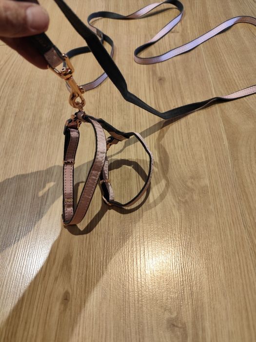 Peitoral com trela nova