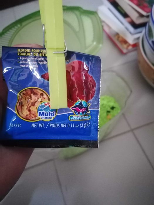 Aquário para peixes Betta