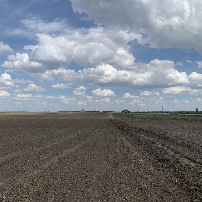 Фото ділянки