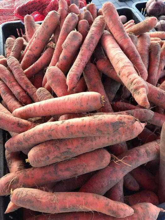 Warzywa ziemniaki hurt detal