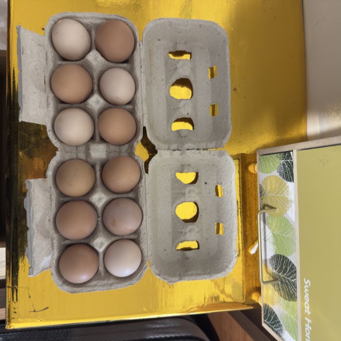 Ovos Caseiros Frescos