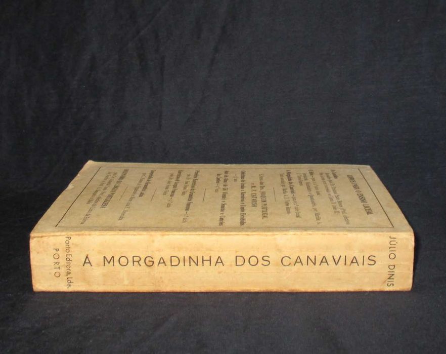 Livro A Morgadinha dos Canaviais Júlio Dinis