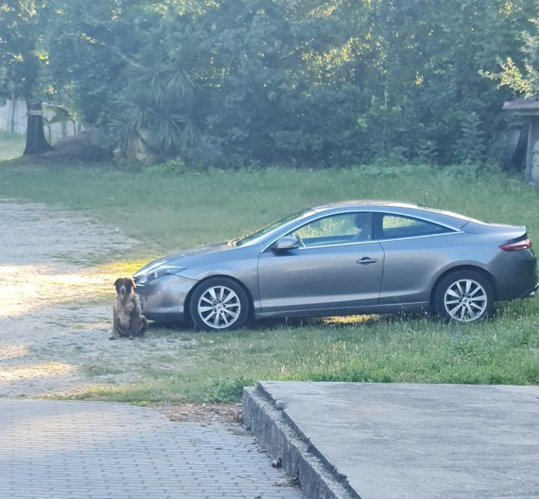 Renault Laguna Coupé III Bose Edition 2.0 dCi 150 cv Automático