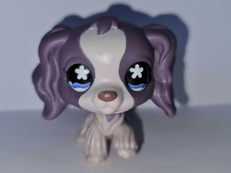 Oryginalny Littlest pet shop pies piesek spaniel #672 LPS